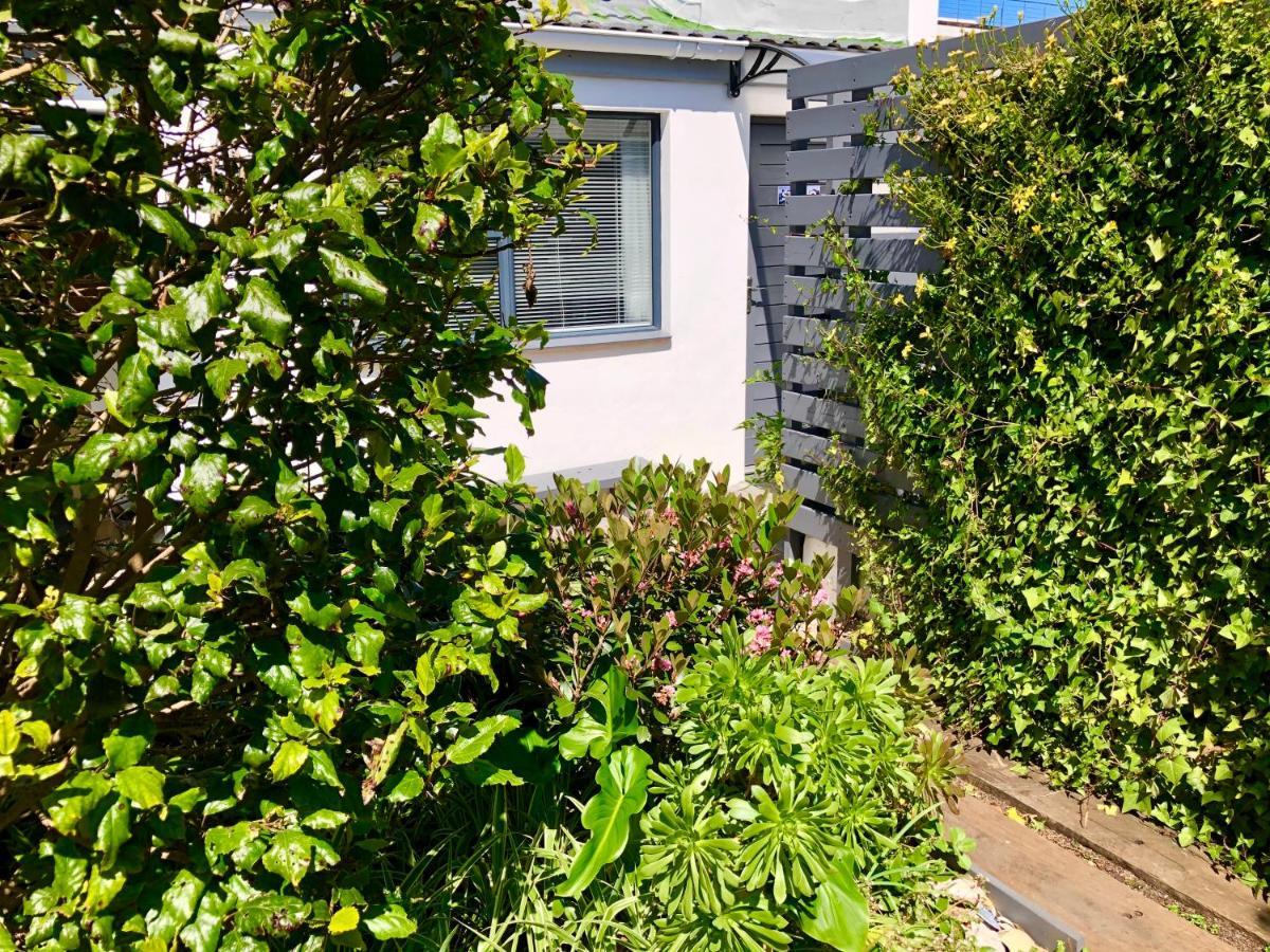 Studio On Albert, האוט ביי מראה חיצוני תמונה